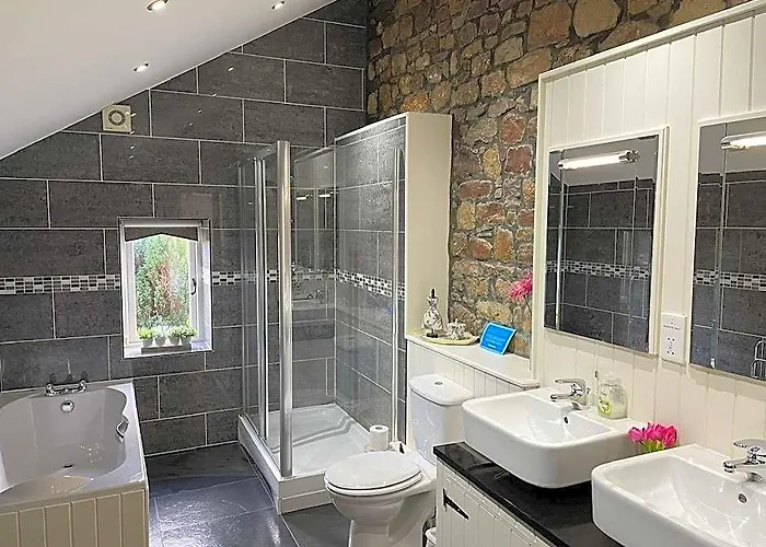 Rhiwddu Barns - Brecon Beacons National Park